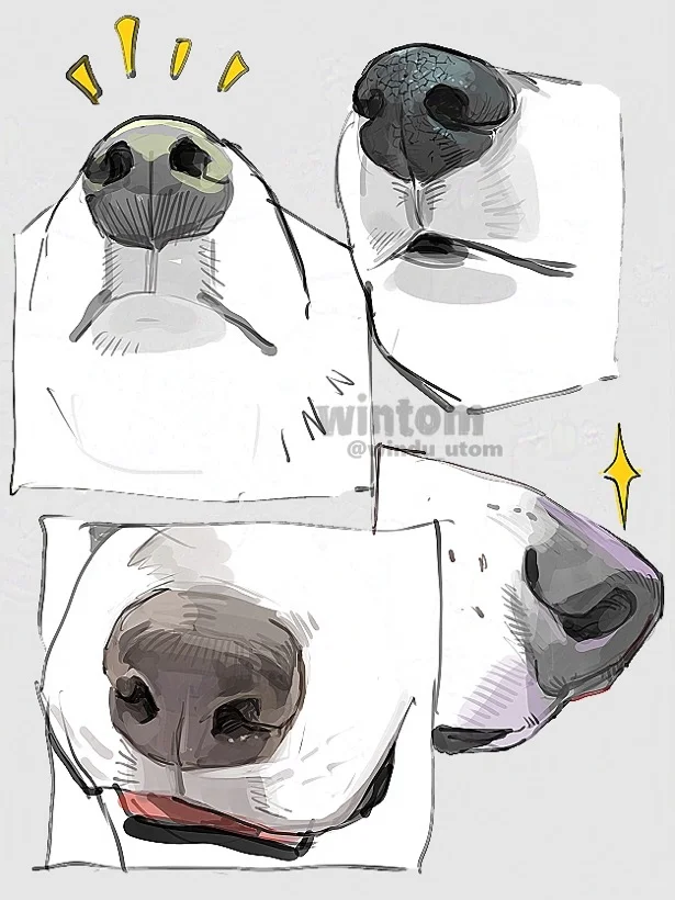 有点涩了，但是又好喜欢