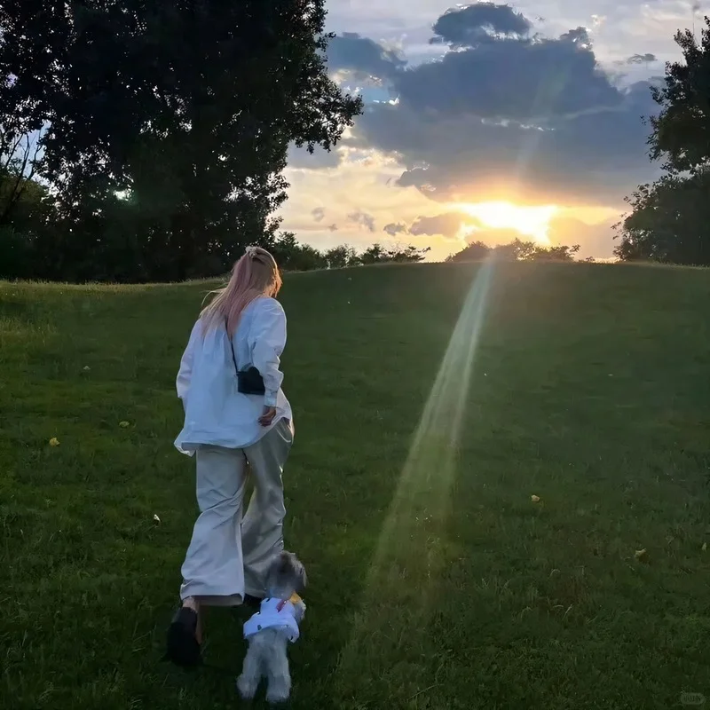 向阳而生 喜欢就拿走