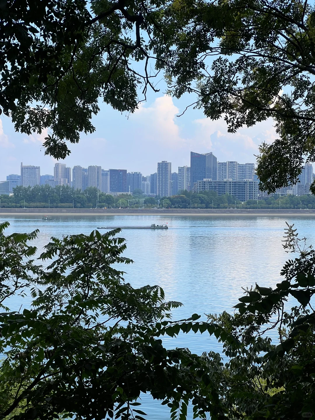 秋意浓 🍂