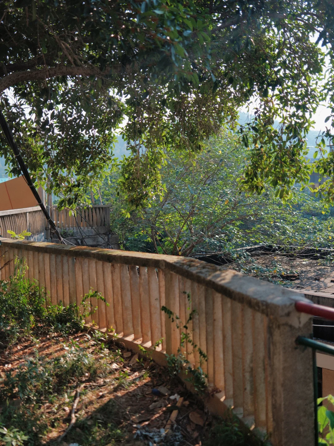 蹲点县城文学及JK服模特