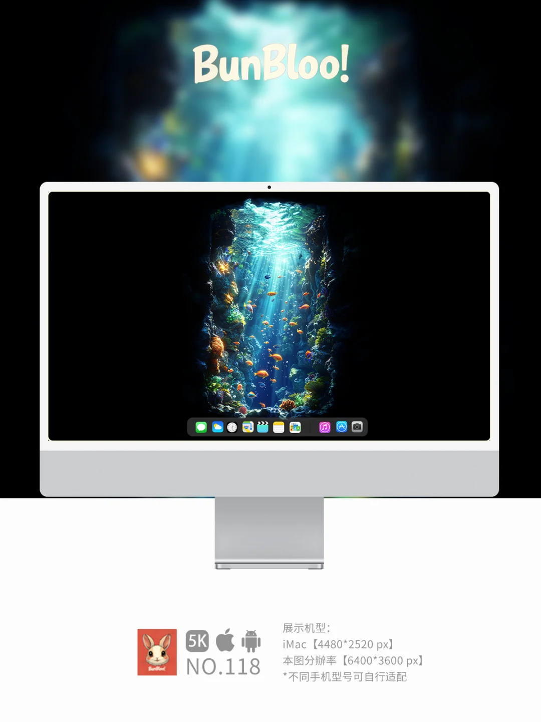 海底世界，好美啊！今日份壁纸分享｜118