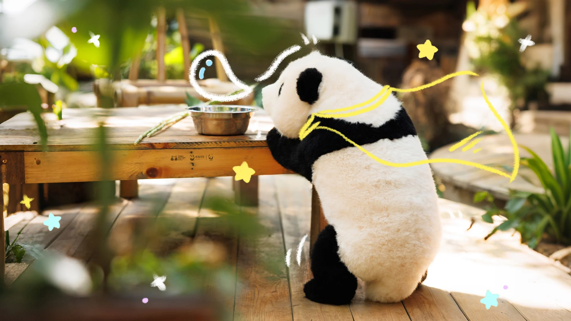 福宝电脑壁纸奉上！