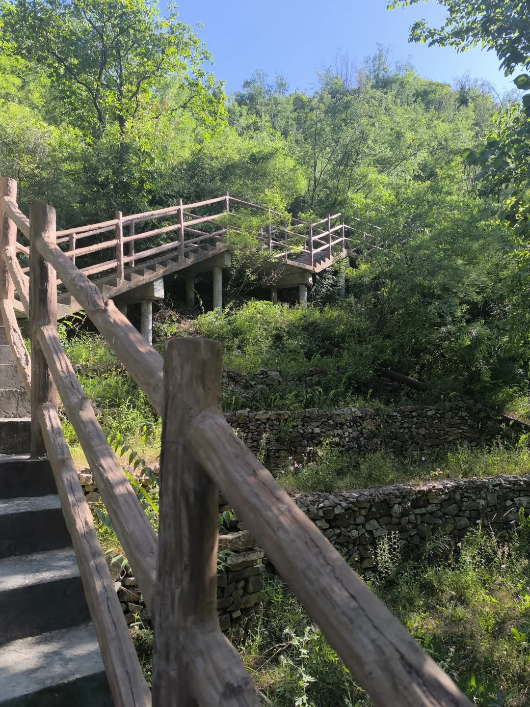 在鹤壁|感受一下天然大氧吧