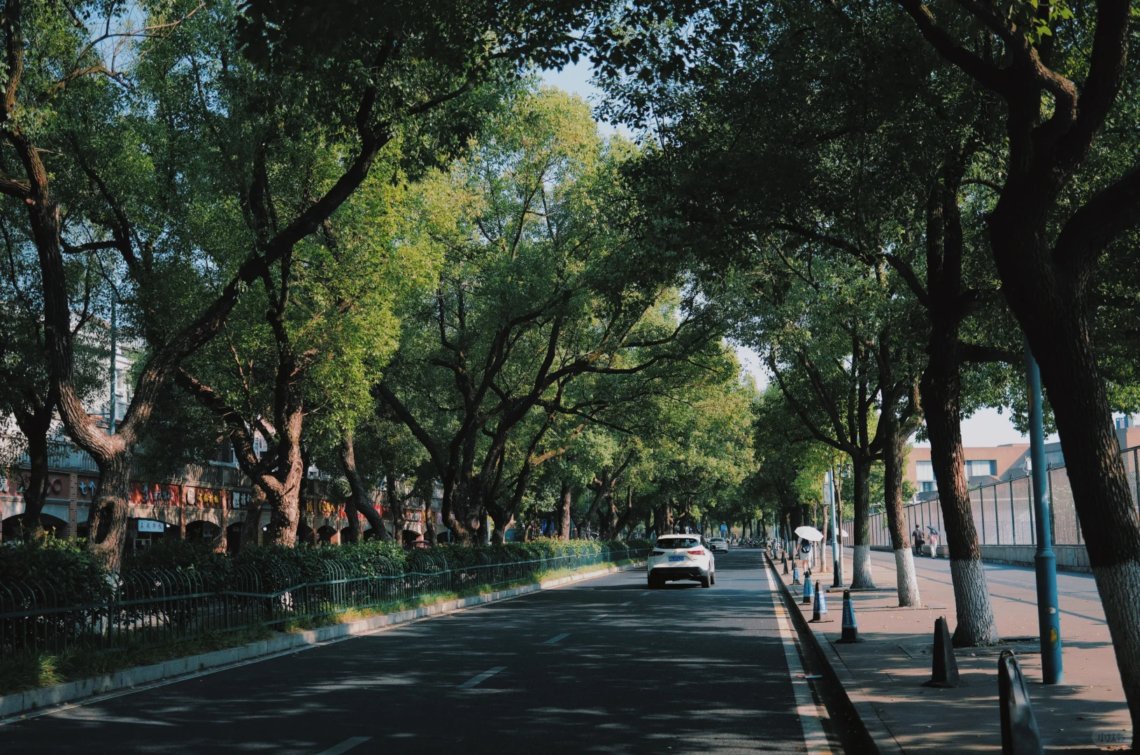 蹲点县城文学及JK服模特