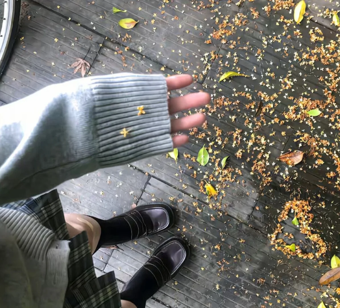 日系风の背景图