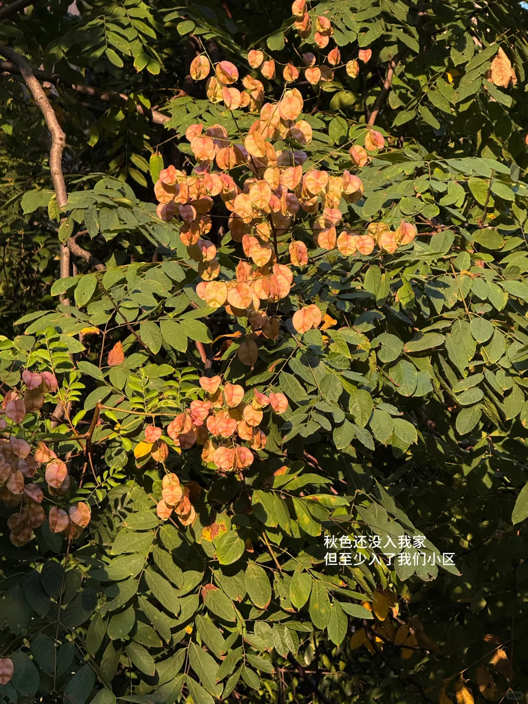 i人日记：不停书写，就是我的抵抗。