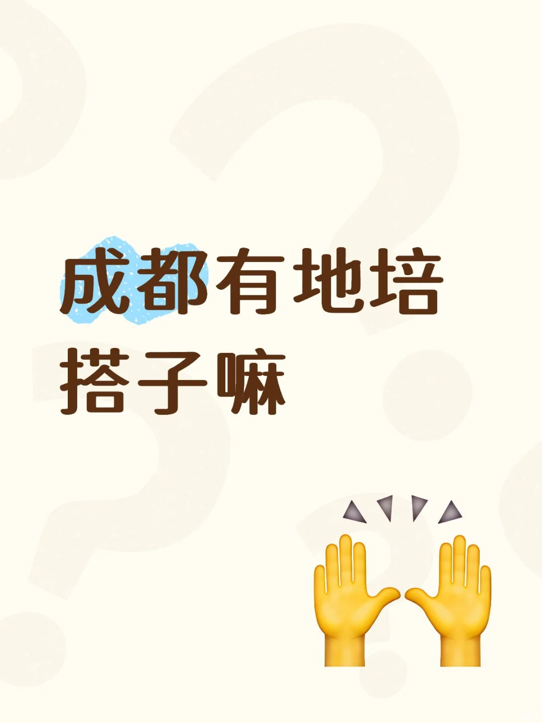 不知道有什么好玩的