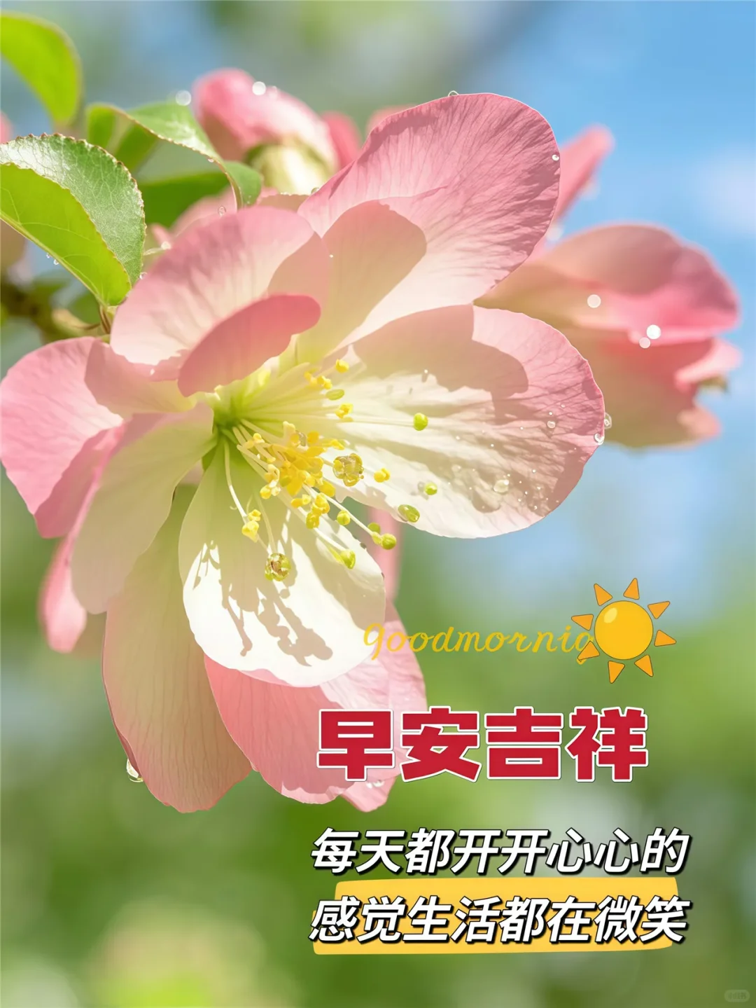 每天都是新的开始