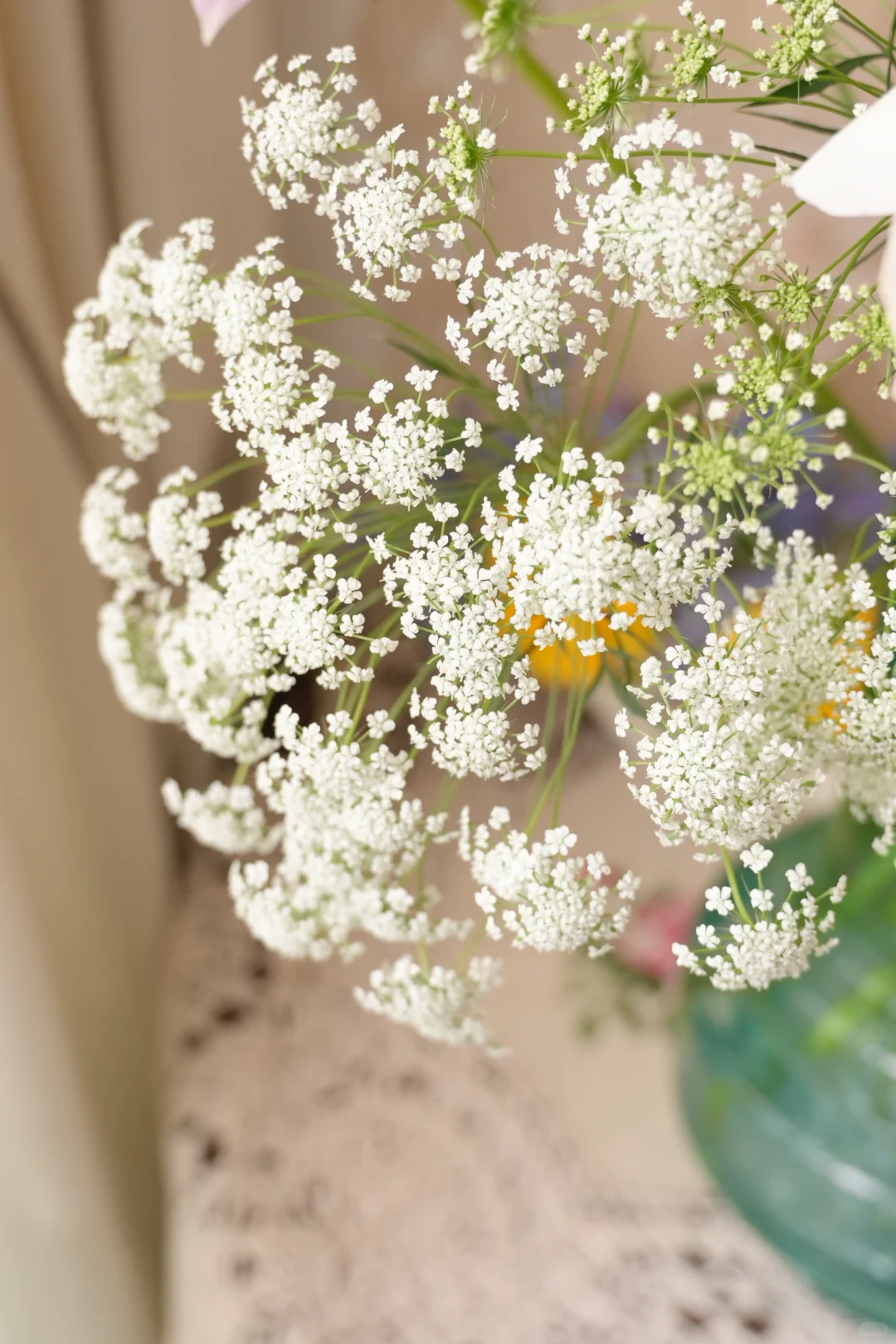 春系插花|蕾丝和少女