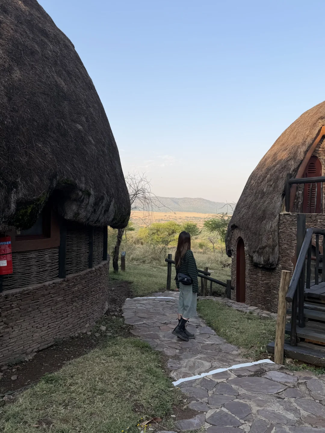 坦桑尼亚 |塞伦盖蒂