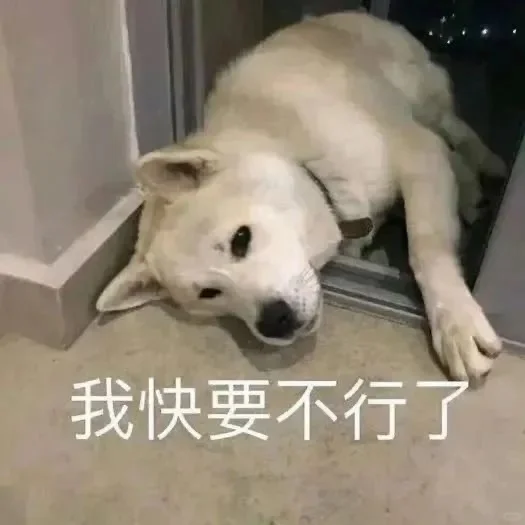 实用表情包分享｜表情包分享