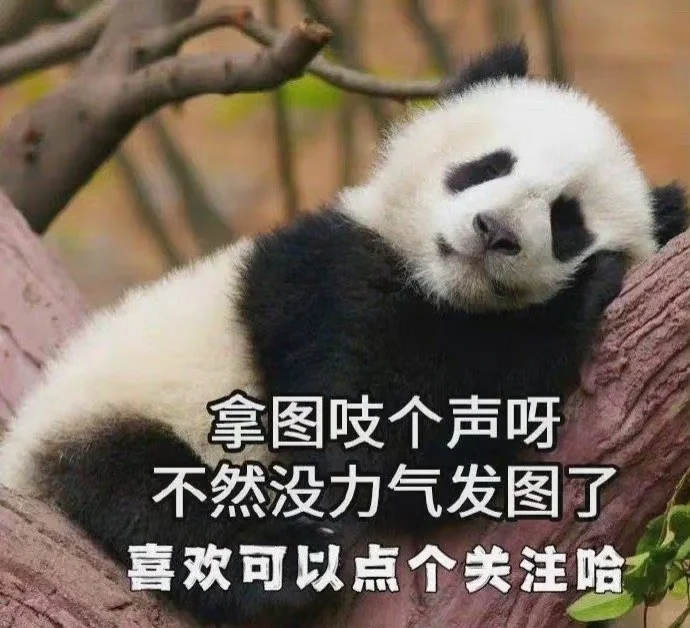壁纸分享｜凡事发生必有利于我