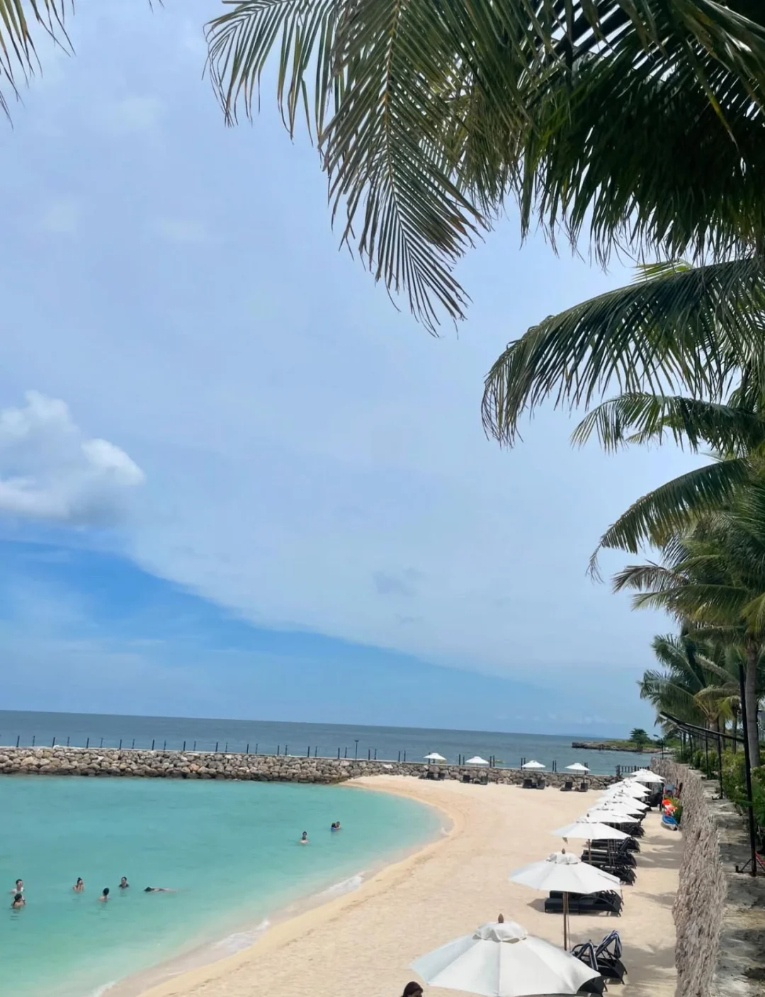 💙𝕤𝕙𝕒𝕣𝕖 |近期动态𖡬 ”