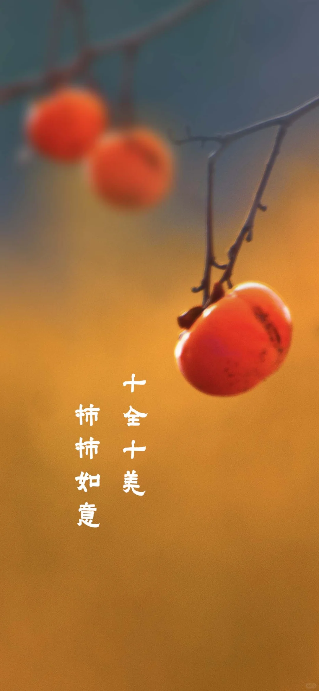 朋友们，今天是个特别的日子--10月10日