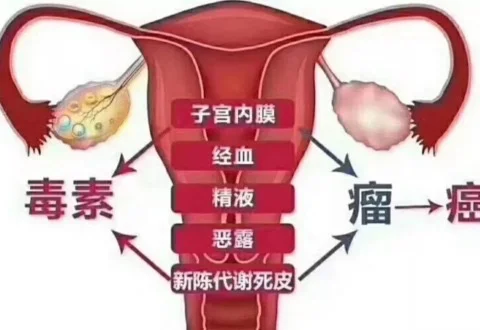 比“文盲”更易被忽视：中国“妇盲”现状与女