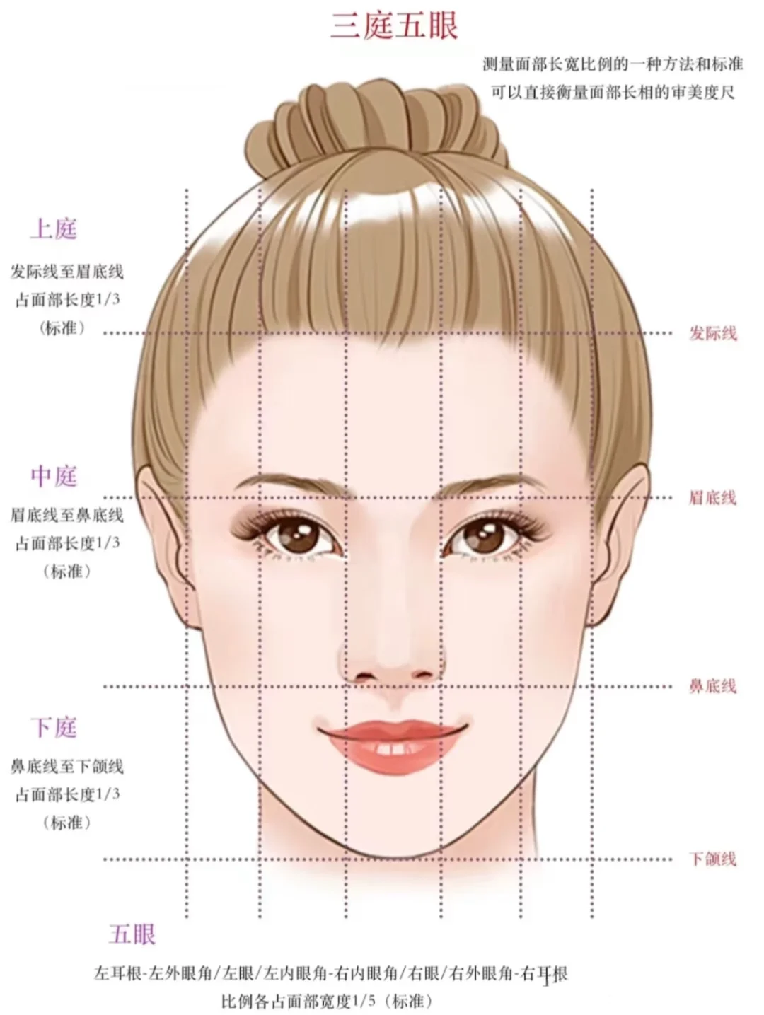 三庭五眼/黄金比例