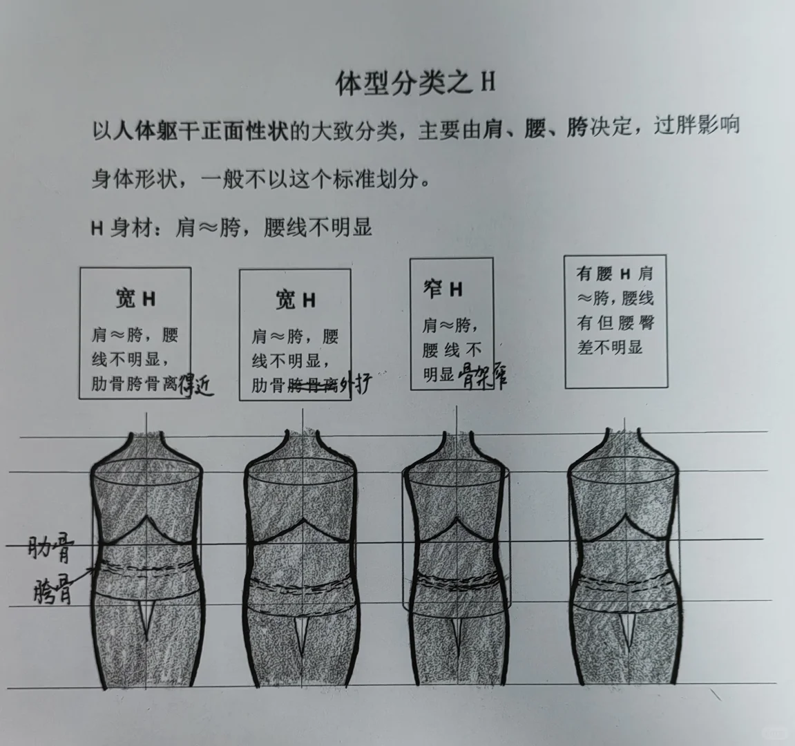 大家说中间这种身材叫什么名字更好