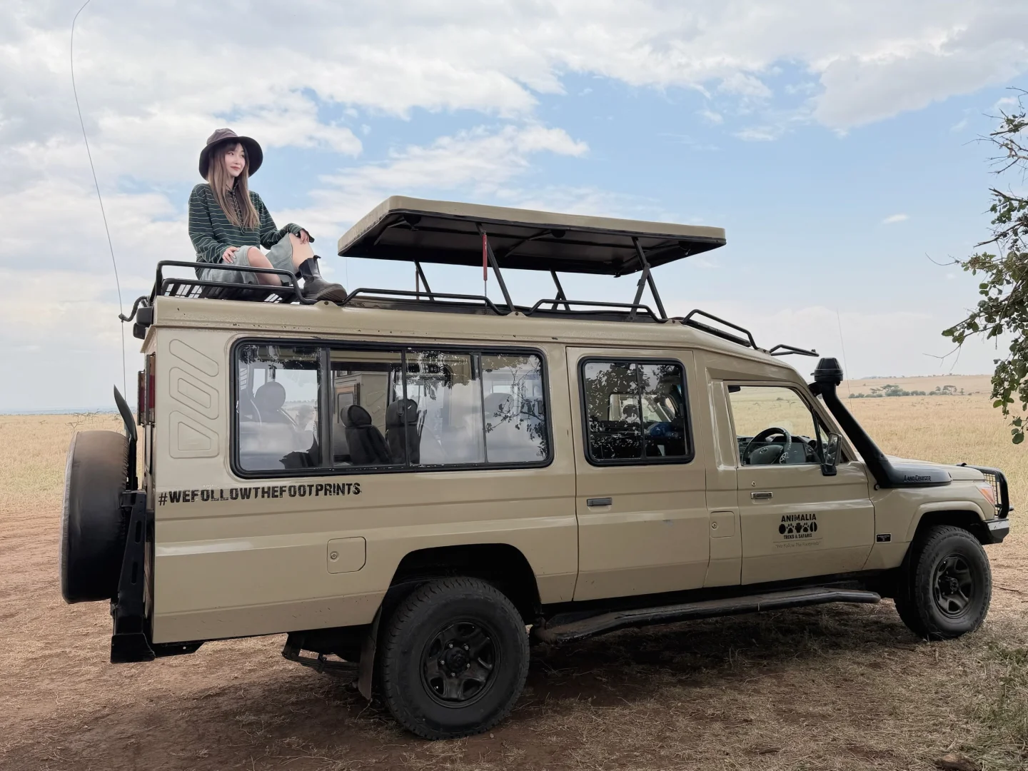 坦桑尼亚 |塞伦盖蒂