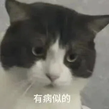 喵：叽里咕噜说什么呢？