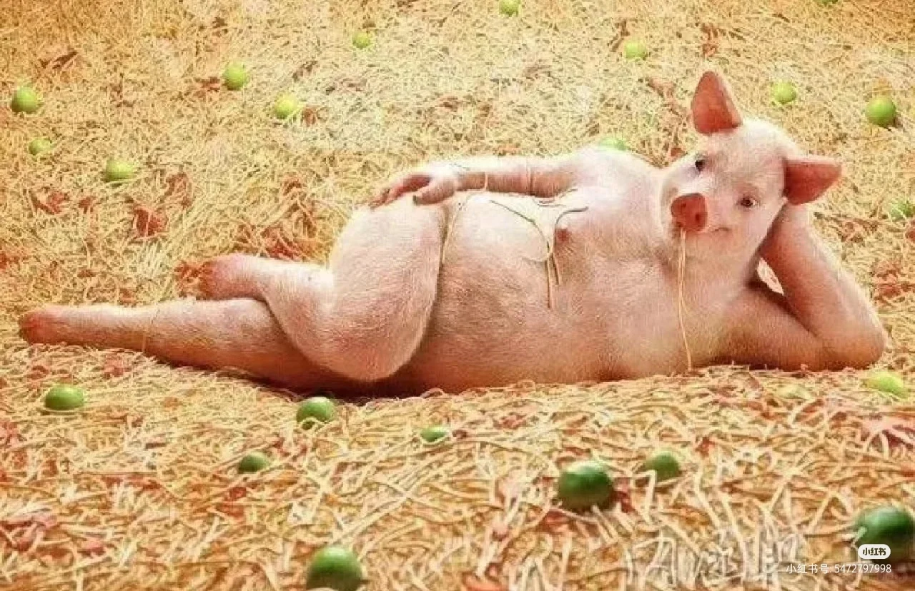 艾特与它长得最像的人