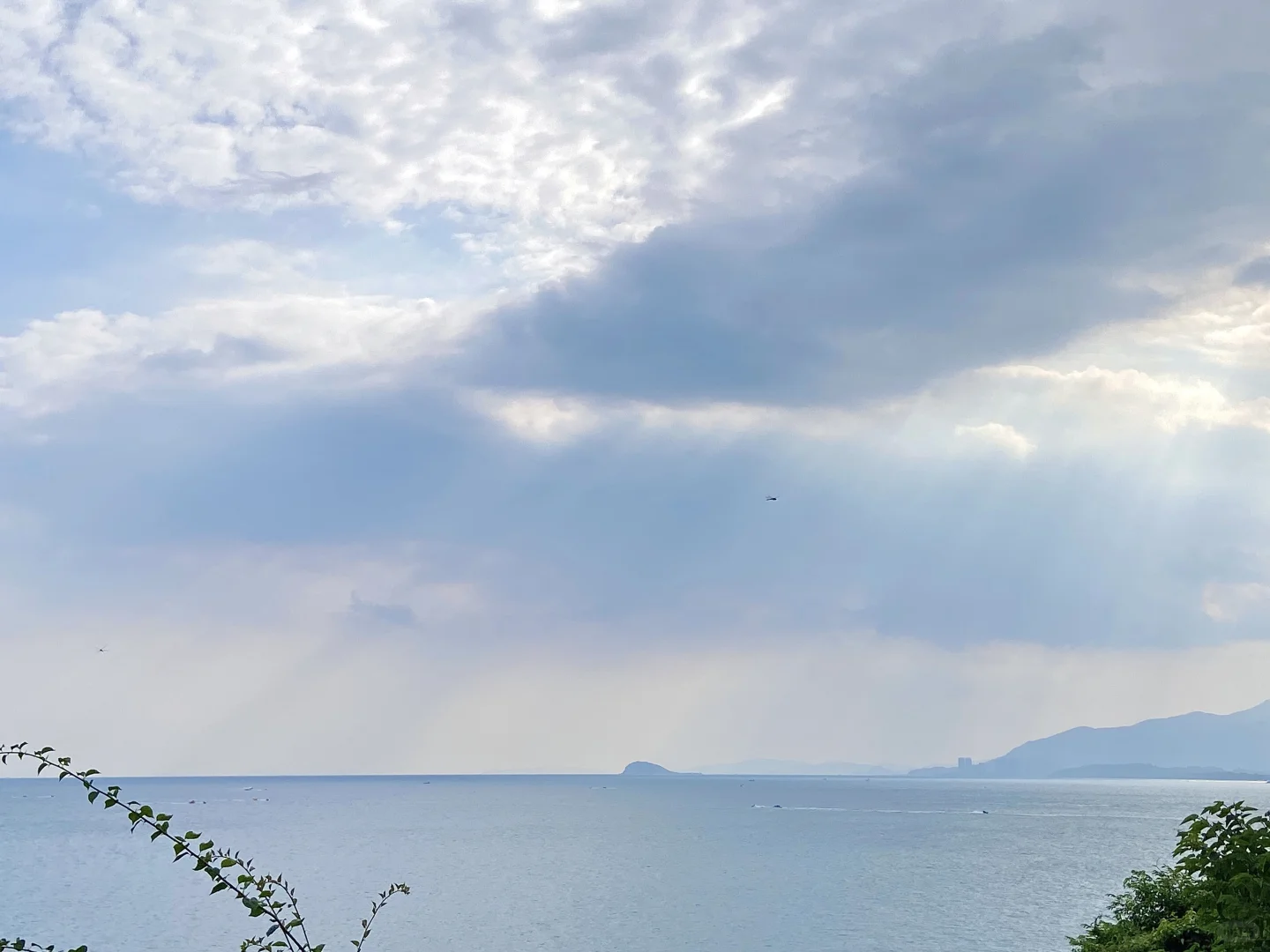 “这个夏天与阳光沙滩做伴”