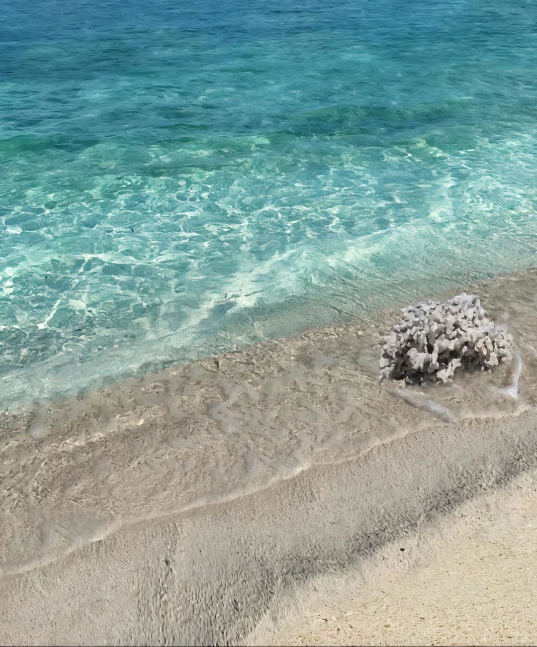 🛥️|沙漏偏梨海边蓝色战袍！🌊”