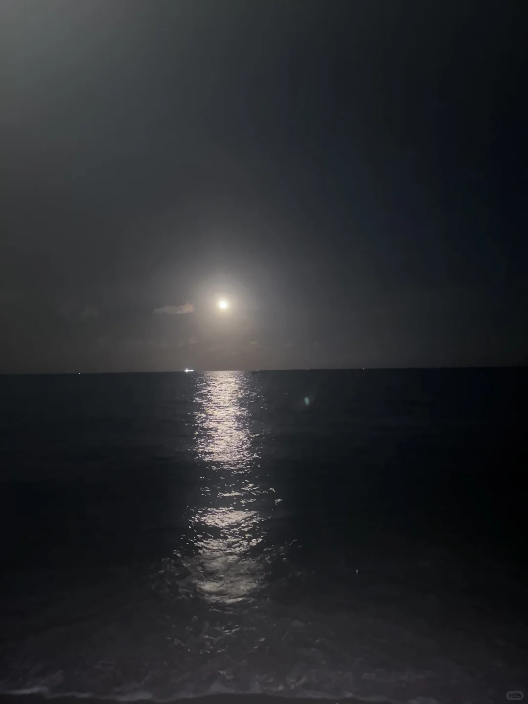 夜间海滩比基尼拍照姿势｜pick哪一张😗