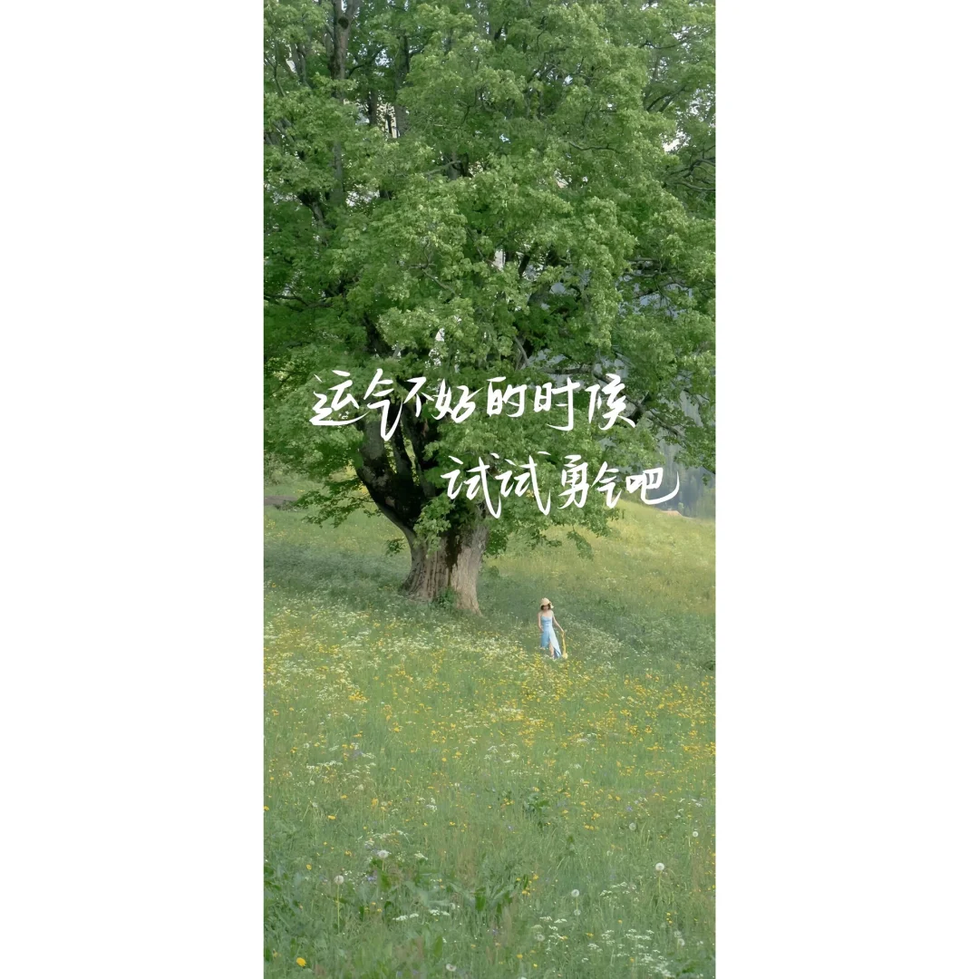 𝐒𝐡𝐚𝐫𝐞'励志上岸壁纸
