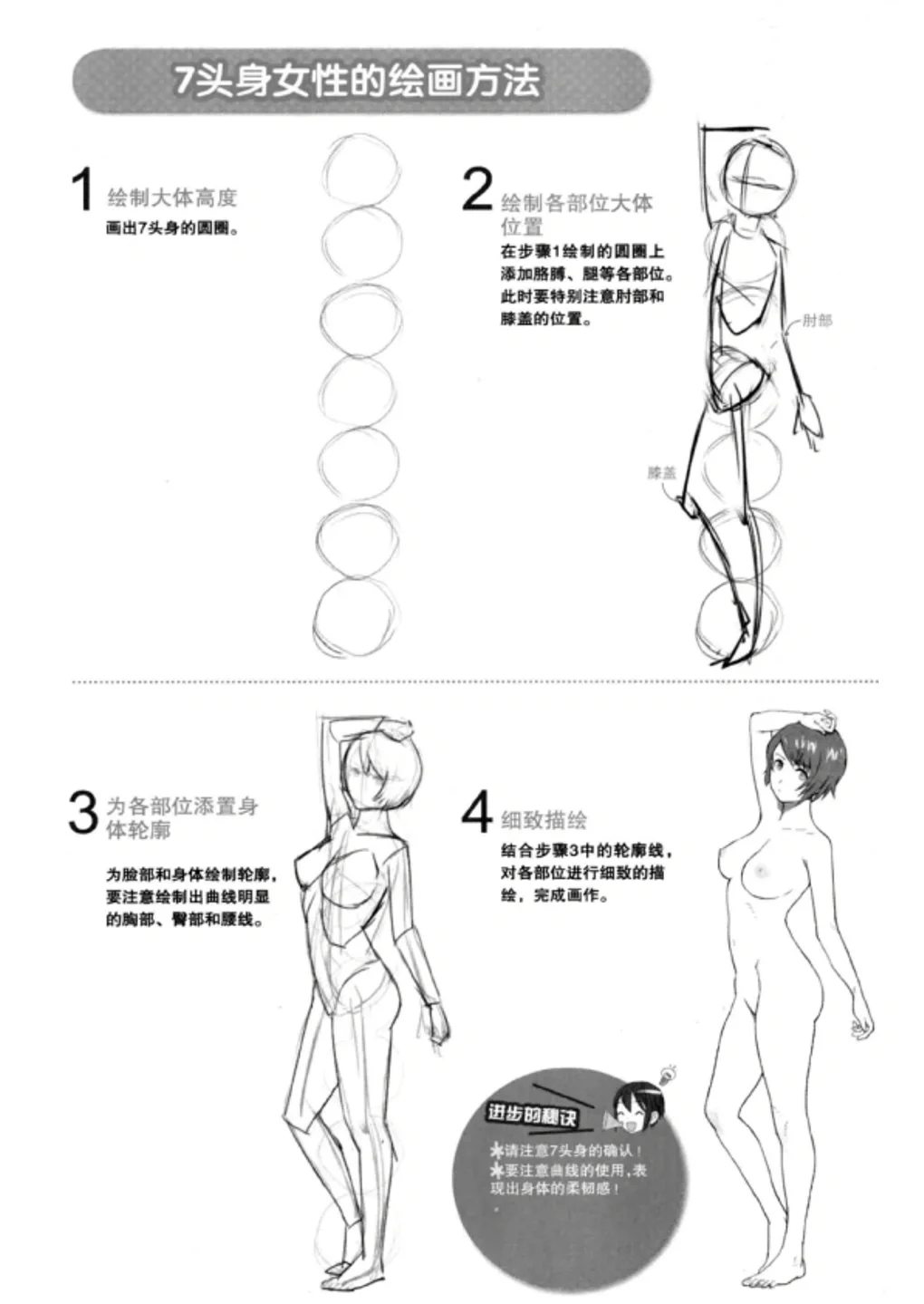 女性人体结构