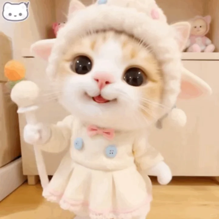 小猫怼脸动态表情包第1弹