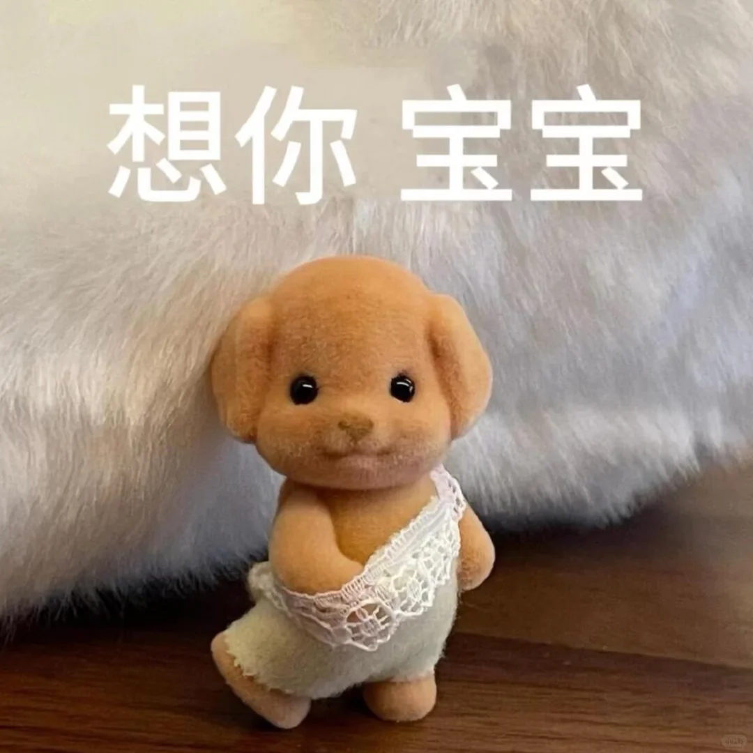 分享一组老实小狗表情包，情侣聊天必用！