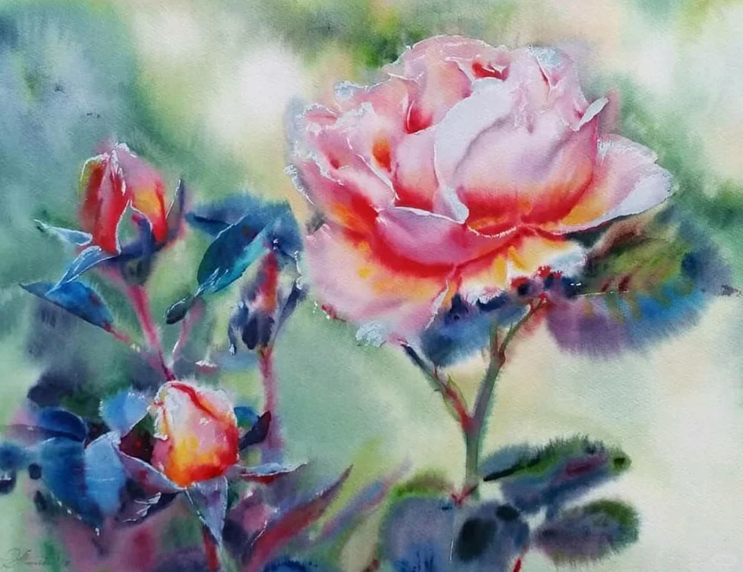 佳作欣赏｜水彩花卉