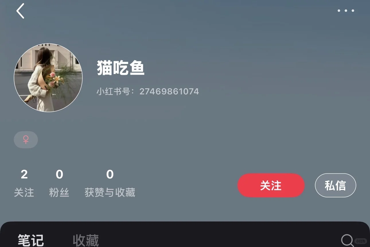 片子