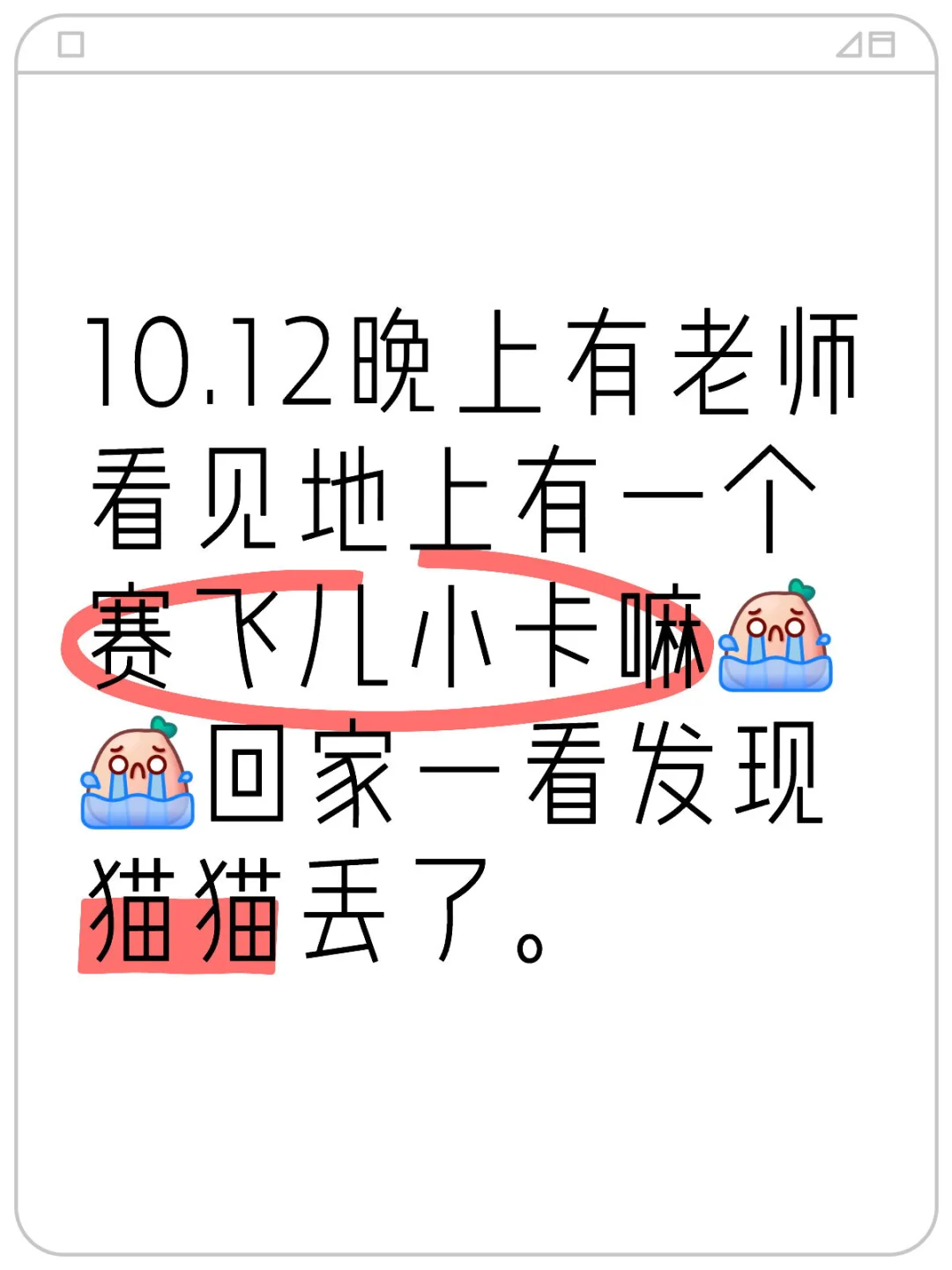 猫猫回家