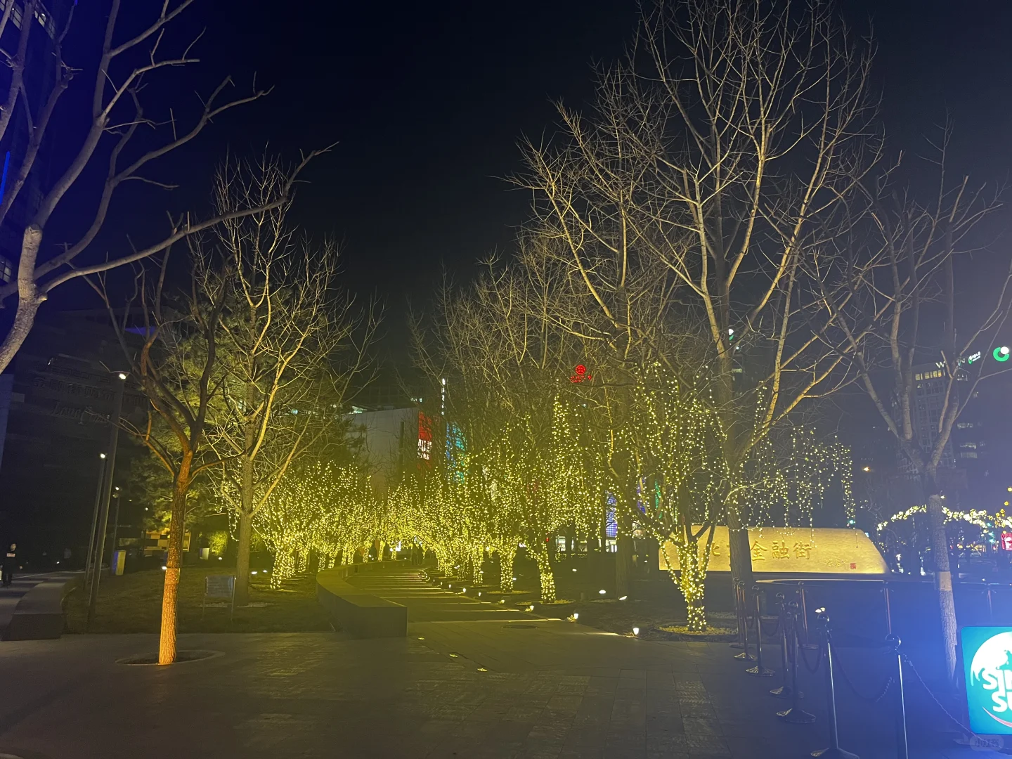 谁能想到我还会有这么热爱工作的时候呢