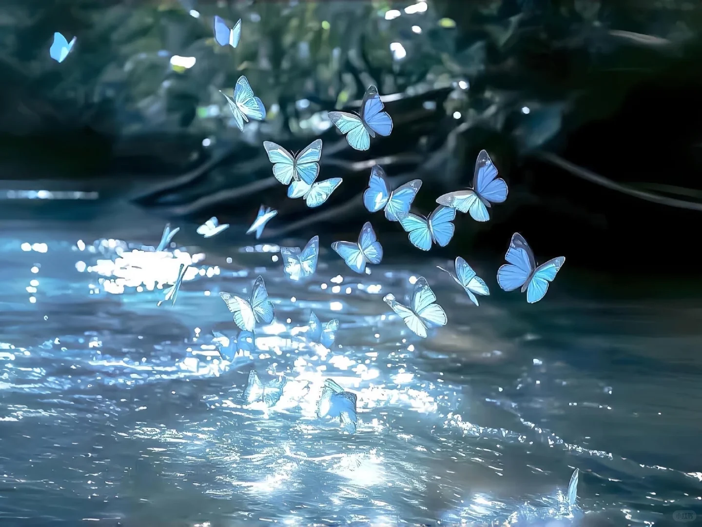 𝑺𝒉𝒂𝒓𝒆 | 蓝色系iPad壁纸🔵