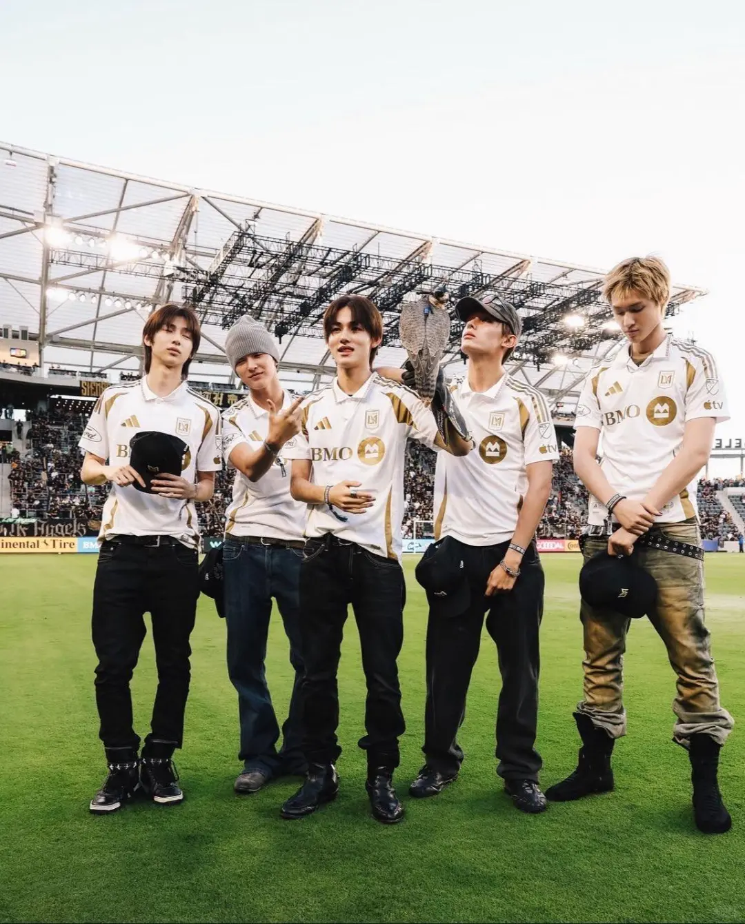 LAFC ig更新Cortis相关
