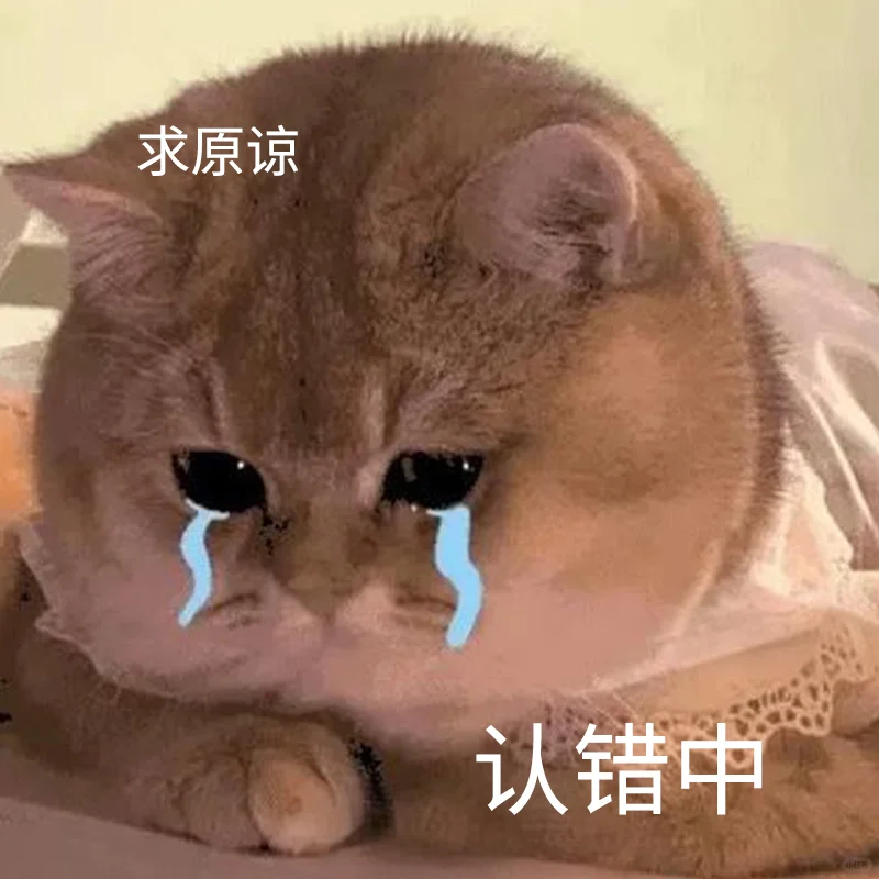 超适合电商客服用的道歉表情包！！