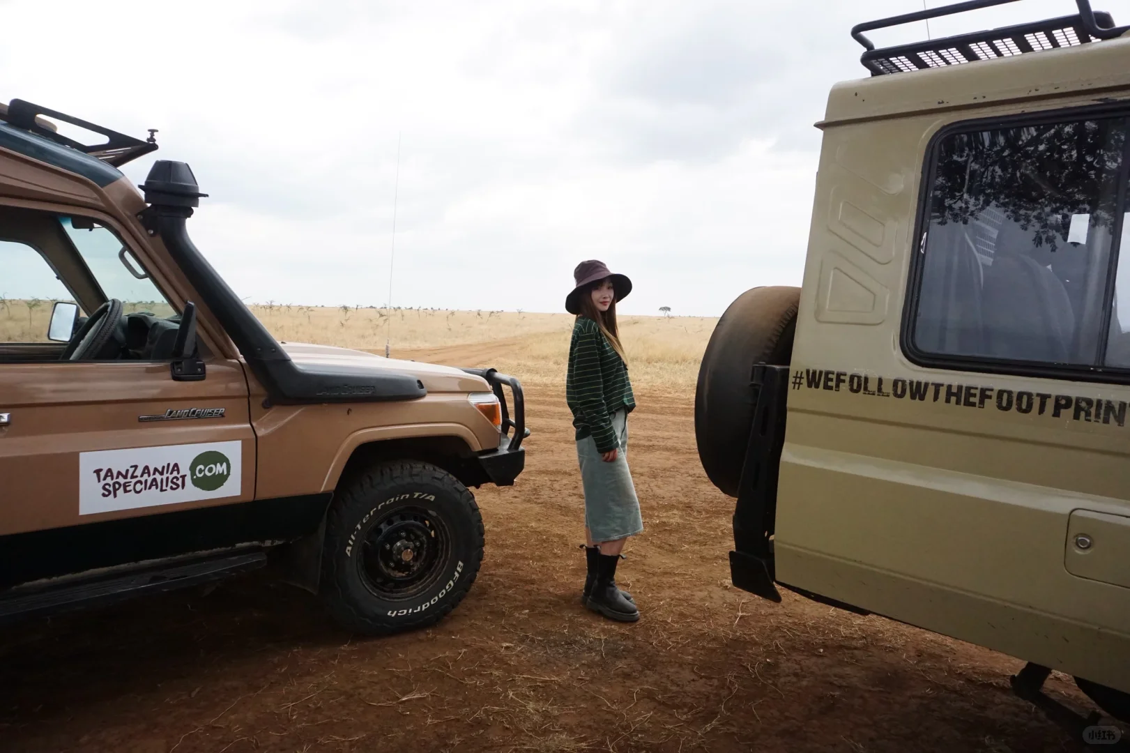 坦桑尼亚 |塞伦盖蒂