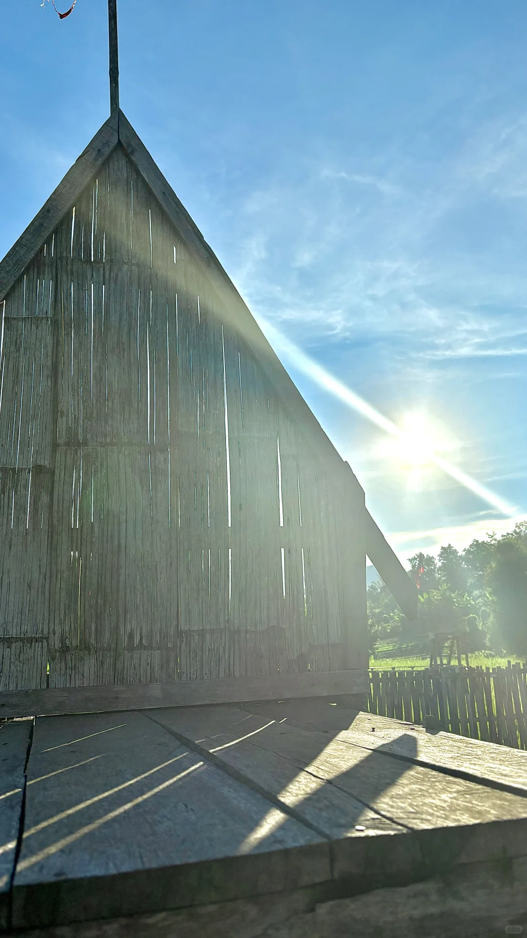 稻田咖啡🌾|在日落里邂逅比基尼与浪漫呀💕