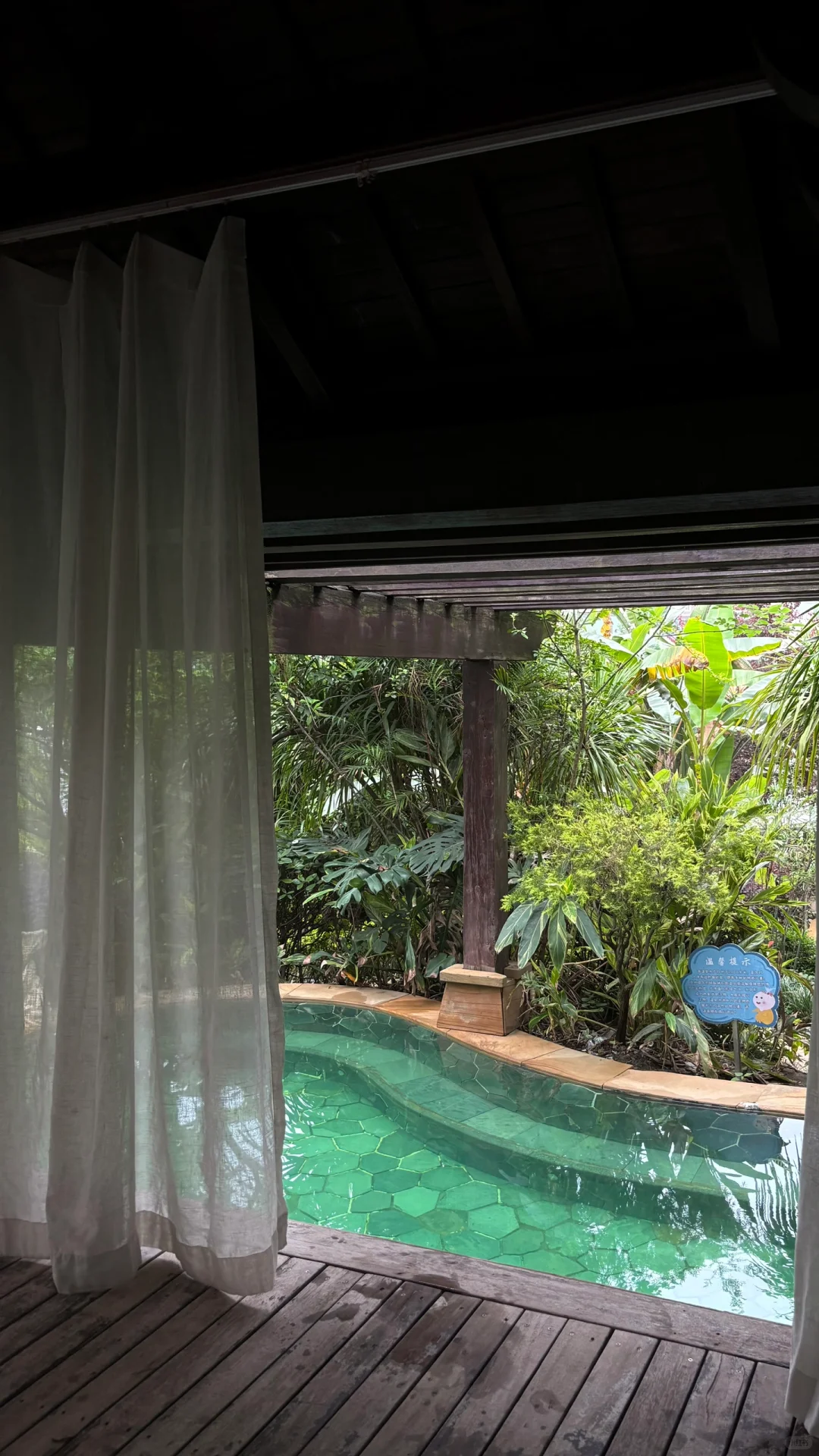 外卖随便点的泳衣没想到挺好看的