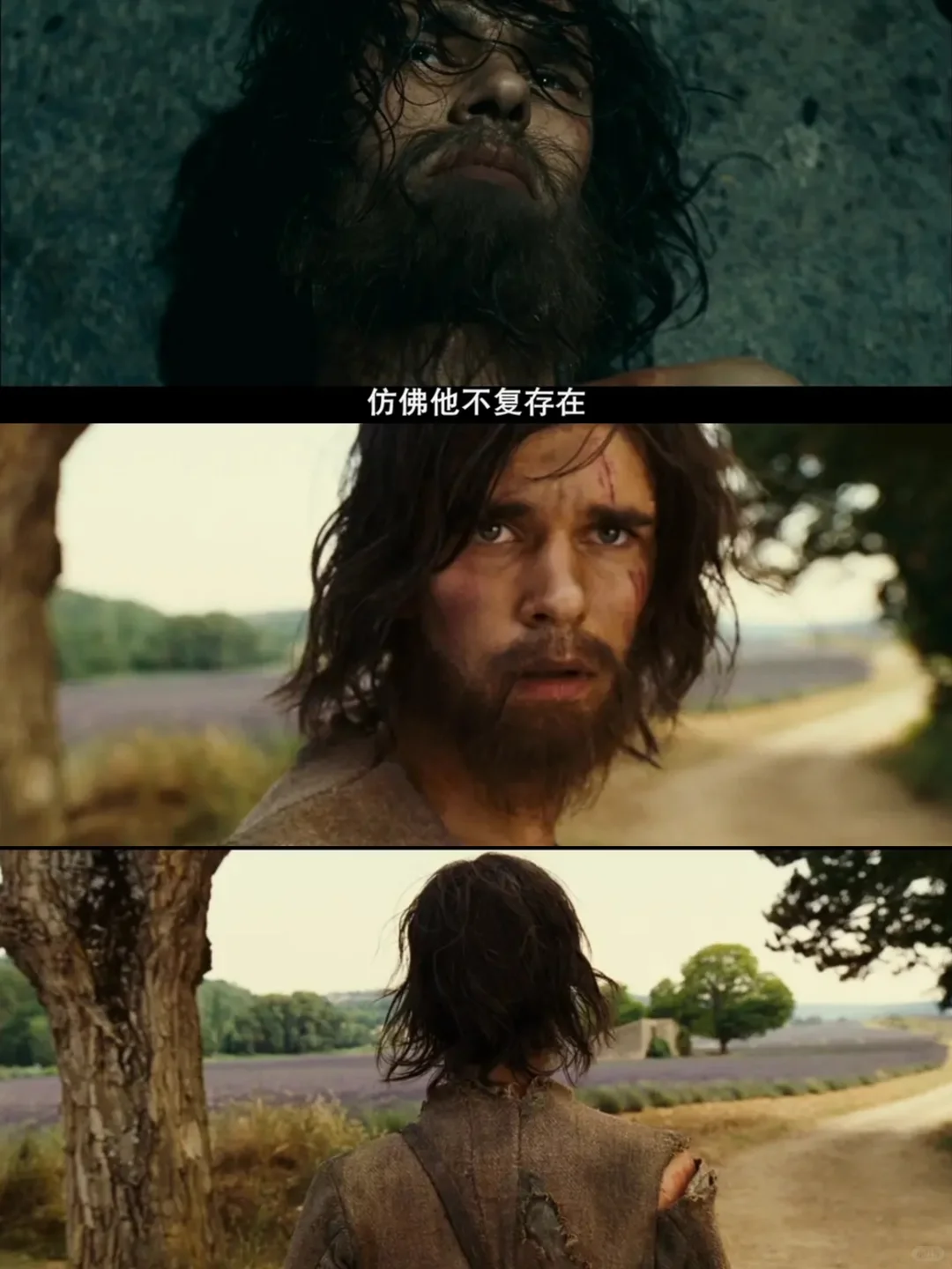 后劲贼大😱这片子真是又美又变态❗️❗️❗