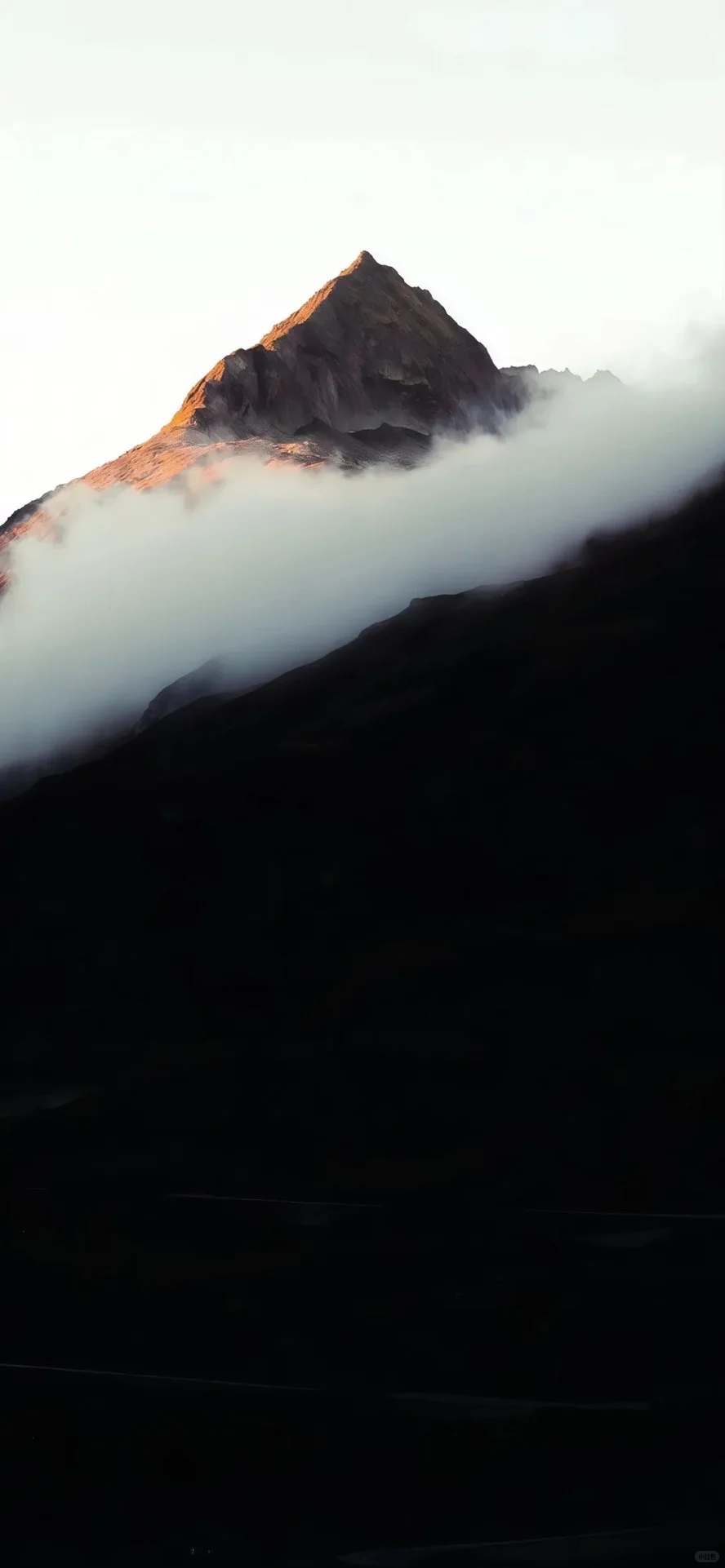 𝙎𝙝𝙖𝙧𝙚景深壁纸｜是谁这么有品