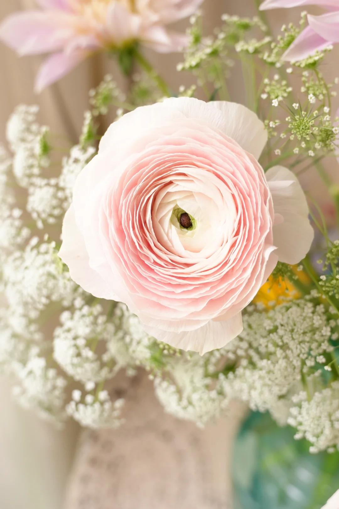 春系插花｜蕾丝和少女