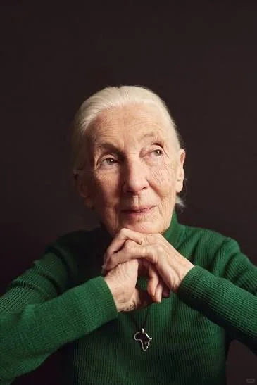 珍.古道尔为何伟大