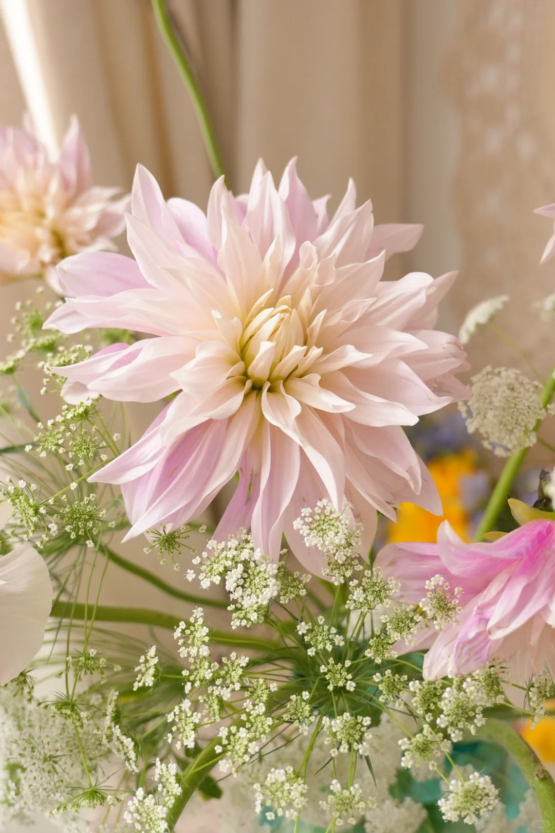 春系插花|蕾丝和少女