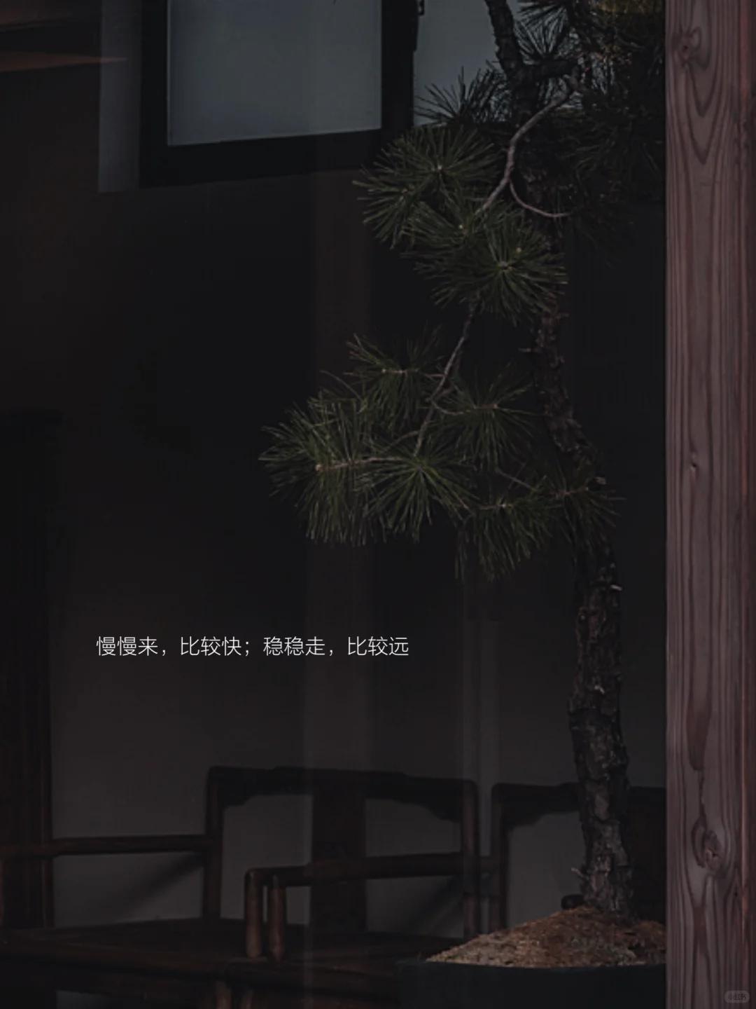 🌳“真正的优秀，都是时间的朋友”
