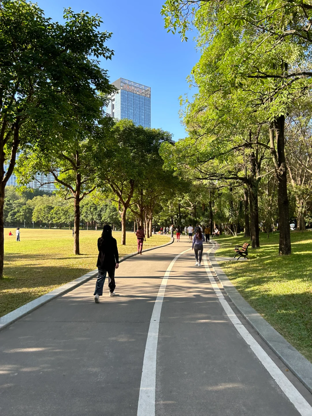 深圳初秋🍂晨跑的日子就是好日子🏃🏻‍♀️☀️