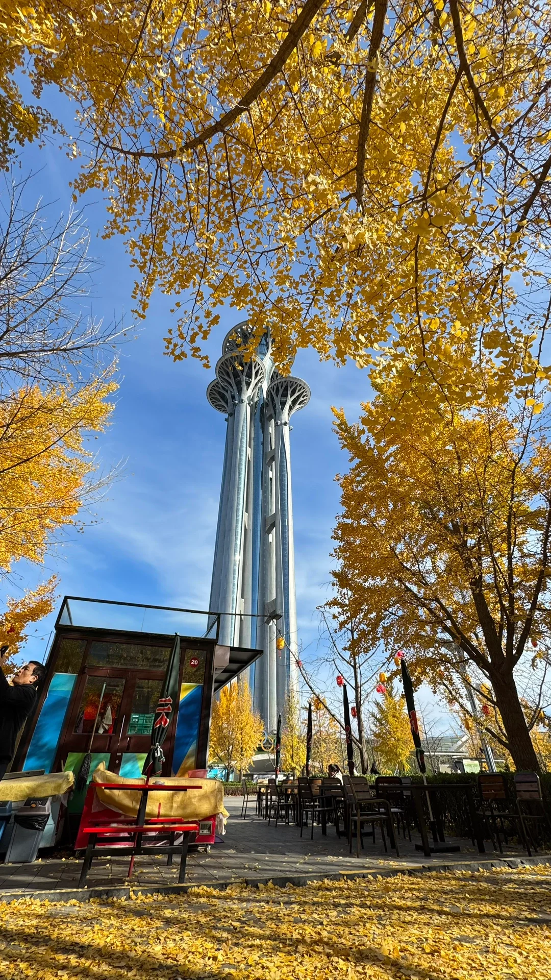 北平的秋🍂|银杏拍摄攻略