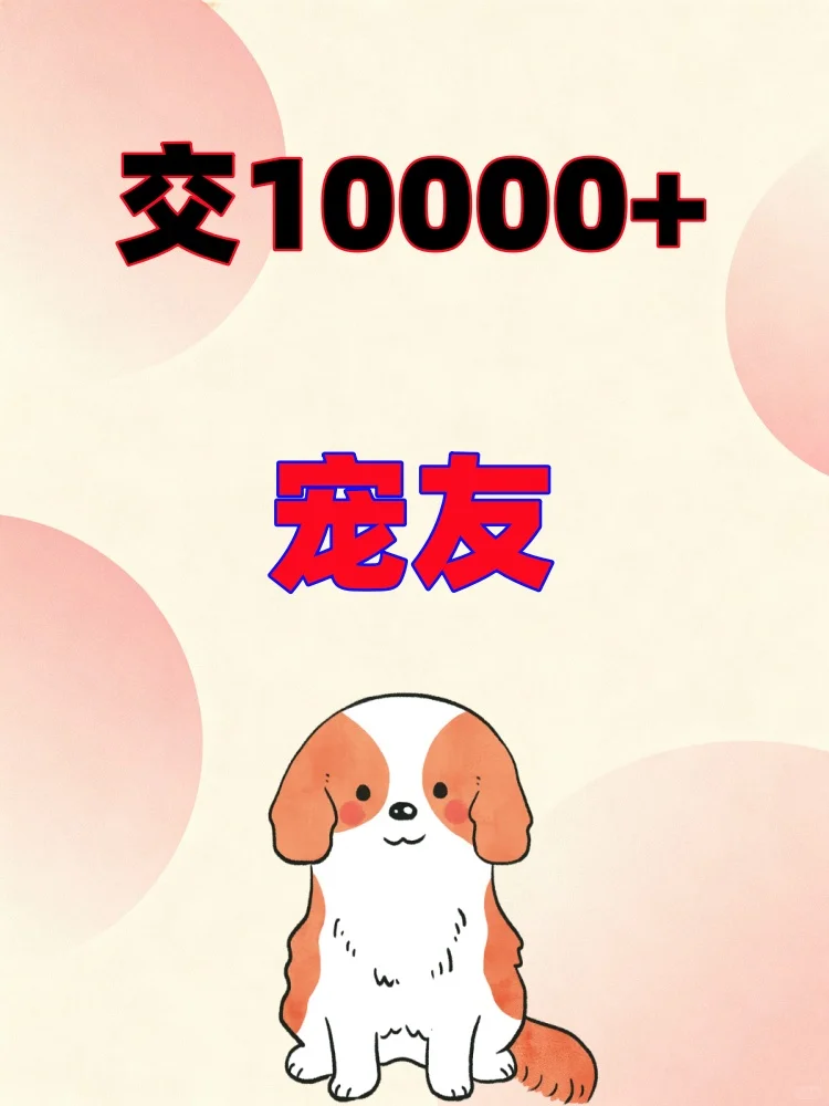 交10000+养宠物好朋友